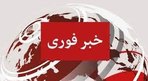 طراح سایت خبرفوری